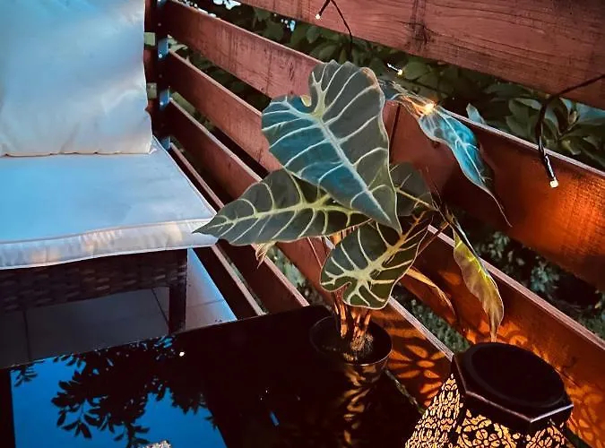 Schoene Terrassenwohnung Zwischen Giessen Und Marburg Staufenberg (Hessen)